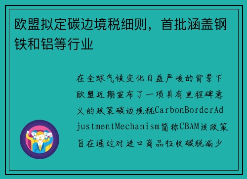 欧盟拟定碳边境税细则，首批涵盖钢铁和铝等行业